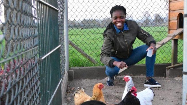 Teresa Schuring Teresa Schuring