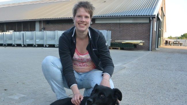 DSC_6818 (2) (Medium)